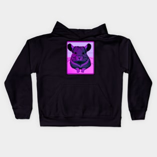 Vaporwave Chinchilla Kids Hoodie